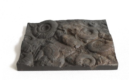 Lounge wand relief gusseisen - lounge,